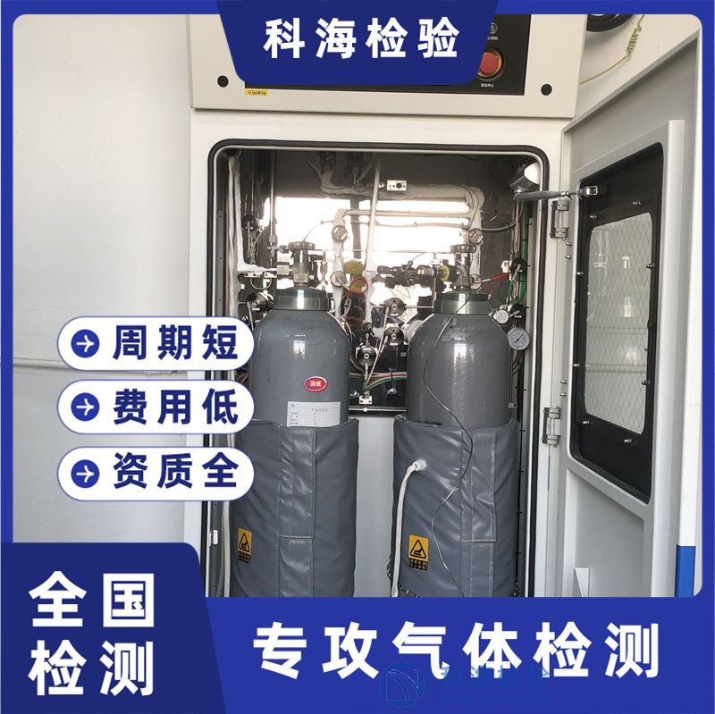 电子工业用气体检测