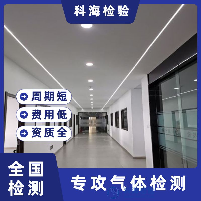 高纯氨中杂质检测技术:从气相色谱到金属离子分析